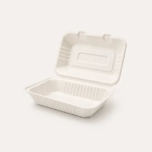 Envase de bagasse sin división